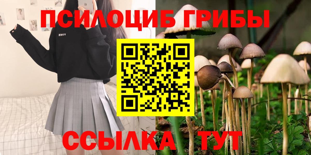 Псилоцибиновые грибы ЛСД Звенигород