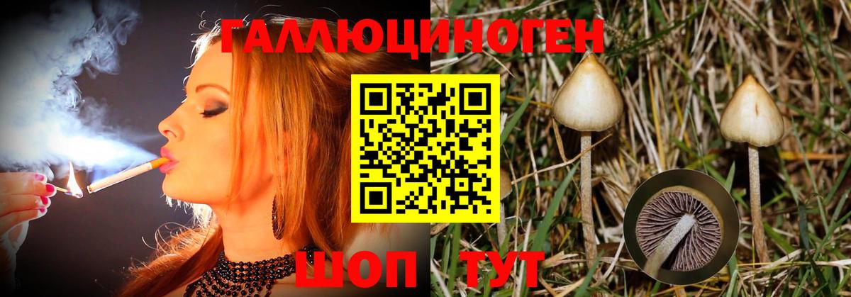 Галлюциногенные грибы GOLDEN TEACHER  Вход с VPN  Галлюциногенные грибы Magic Shrooms  Звенигород 